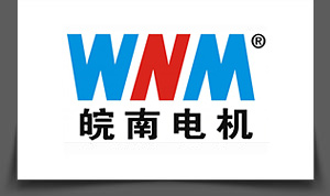 安徽皖（wǎn）南電機股份有限公司（sī）