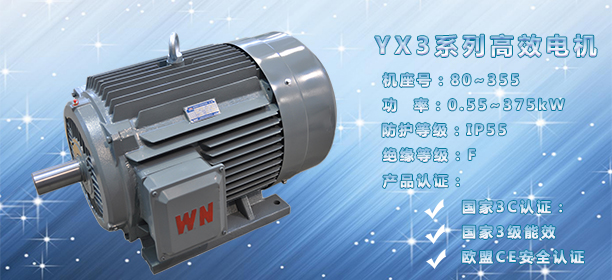 高效節（jiē）能電機