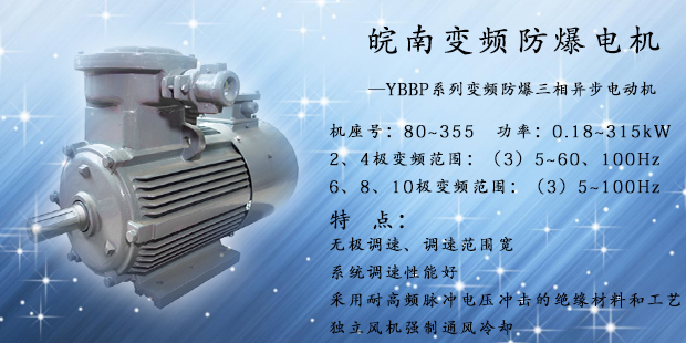 變頻防爆電機（jī）