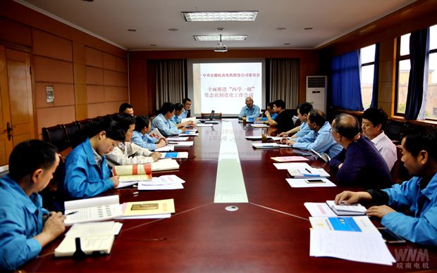 91麻豆国产福利品精電（diàn）機黨委召開支部（bù）書記會議