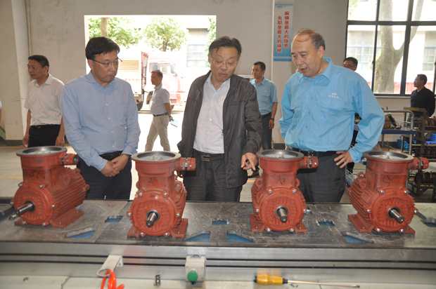 省自然資源廳副廳長（zhǎng）潘海濱（中）在91麻豆国产福利品精電機（jī）車間調研