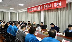 安徽省技術標（biāo）準創新基（jī）地（高效電機）