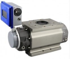 ZY-LLQ羅茨（cí）流量計