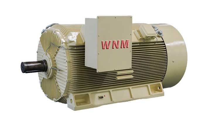 Y2係列高壓三相異步電動機 Y2係列(liè)高壓三(sān)相異步電動機