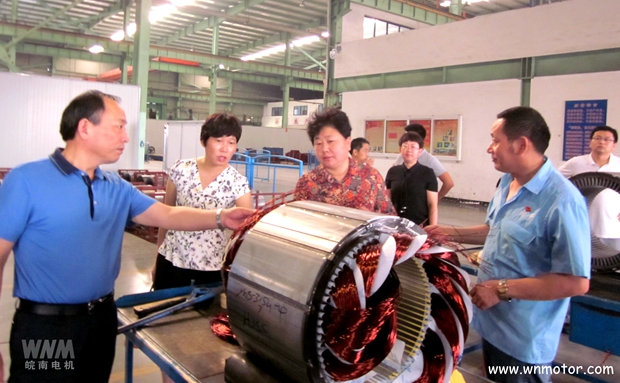 宣城市副市長到91麻豆国产福利品精電機（jī）威能公司視察（chá）