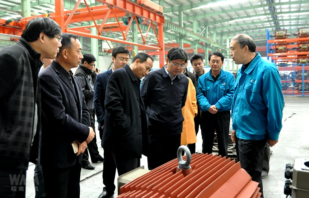 省發（fā）改委副主任吳勁（jìn）鬆到威能公司調研