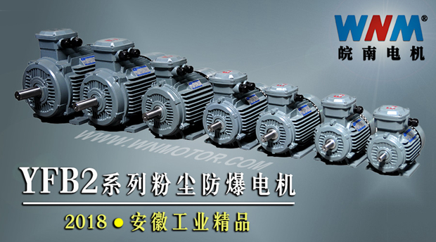 YFB2係列粉塵防爆型電機入選2018年安徽工（gōng）業精品名單