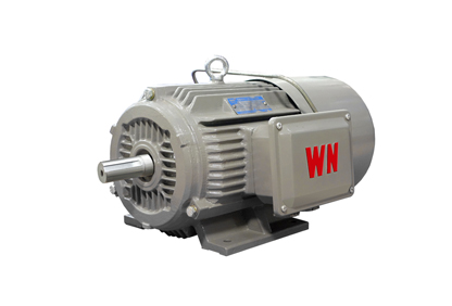 YEJ2係列電磁製動三相異步電動機