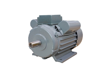 YL係列雙值電容（róng）異（yì）步電動機