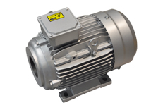 YYVF2係列新能源汽車助力轉向（xiàng）泵電機