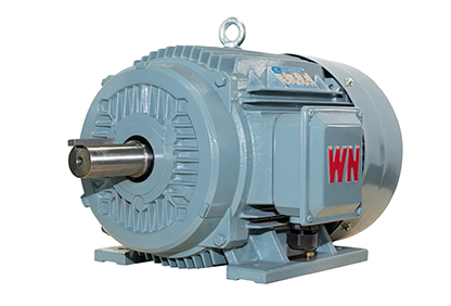 TYCP2係列三相變頻驅動永磁同步電動（dòng）機