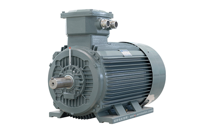 YBX3 係列（liè）高效率隔爆型(Ex dII CT4)三相電動機